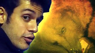 Ünlü YouTuber gözlerine inanamadı! Kars'ta akılalmaz görüntüler: Karşılarına onlarca ayı çıkınca...