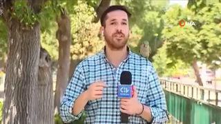 Soygunlardan bahseden muhabir tam da o an soyuldu! Hırsız koşarak değil 'uçarak' uzaklaştı