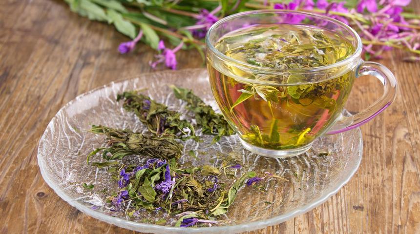 Yakı otu çayı faydaları nelerdir, neye iyi gelir? Yakı otu çayı nasıl yapılır ve demlenir?