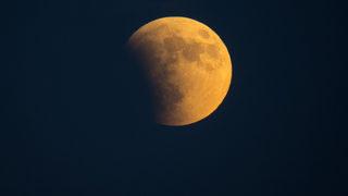 7-13 Kasım haftası burçları neler bekliyor? 7-13 Kasım haftası burç yorumları: Haftalık burç yorumları