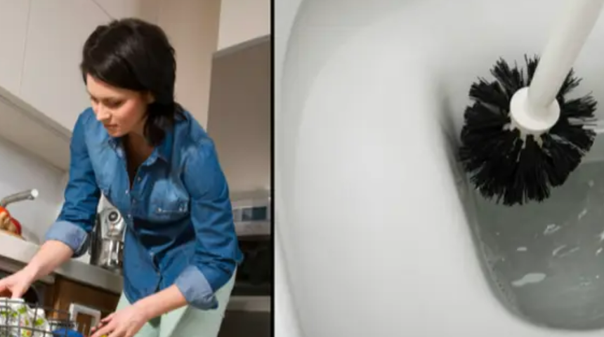 Bu kadarı da olmaz dedirtti! Tuvalet fır&ccedil;asını temizlemek i&ccedil;in bulduğu yol mide bulandırdı