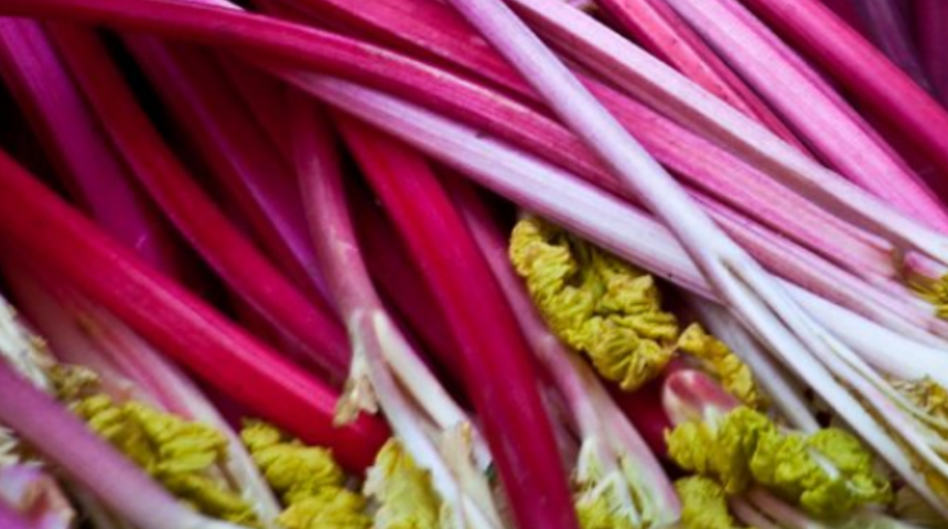 Etkileri hiç bilinmiyor! Kanserle mücadele ediyor, kabızlığı bitiriyor