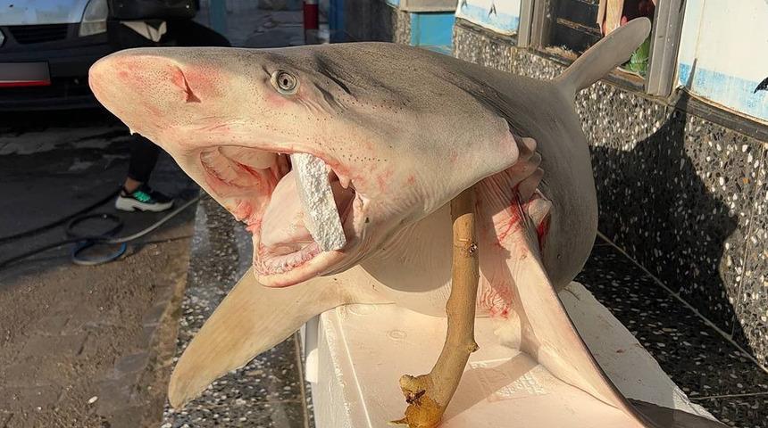 Denizi olmayan ilde şaşkına çeviren görüntü! 50 liradan satacaklar "Yakından bakınca..."