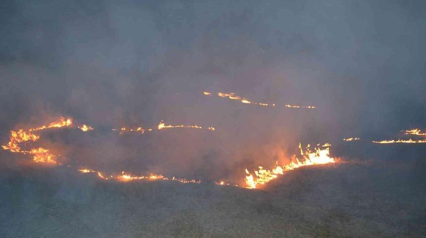 Tekirdağ’da 700 dönüm anız alev alev yandı