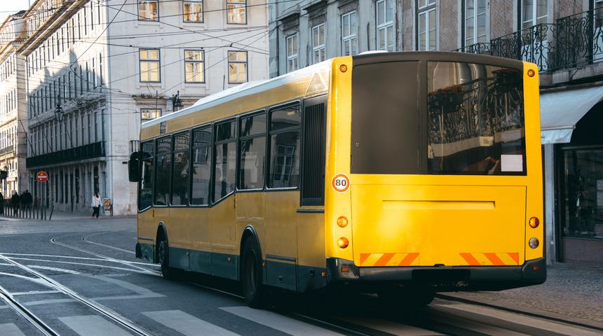 D sınıfı ehliyet hangi araçları kullanır? D sınıfı ehliyet nedir, şartları nelerdir ve nasıl alınır?