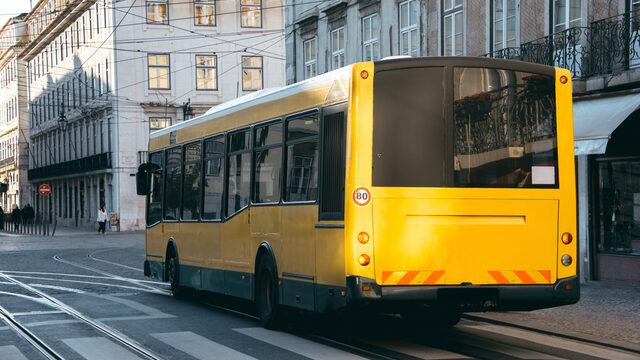 D sınıfı ehliyet hangi araçları kullanır? D sınıfı ehliyet nedir, şartları nelerdir ve nasıl alınır?