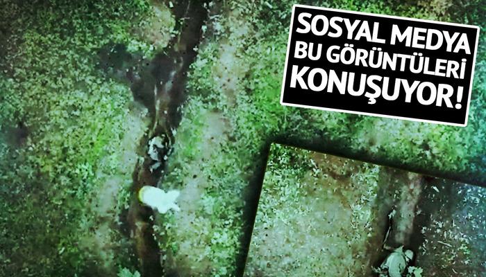 Sosyal medya bu görüntüleri konuşuyor! Herkesi şaşkına çevirdi