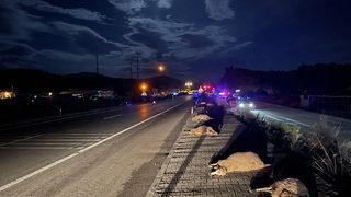 Muğla'da kamyonet ve otomobilin çarptığı küçükbaş hayvanlar telef oldu