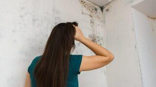 Küfü evinizden uzak tutmak için yapmanız gereken tek şey bu bitkiyi almak