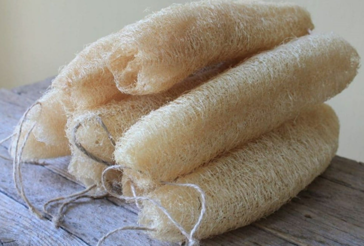 KABAK LİFİ BULAŞIK MAKİNESİNDE YIKANIR MI? 