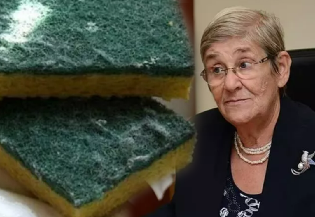 Prof. Dr. Canan Karatay kullananları uyarmıştı! Bakteri yuvası bulaşık s&uuml;ngerlerini &ccedil;&ouml;pe atın: Kabak lifi etkili sonu&ccedil;lar sağlıyor