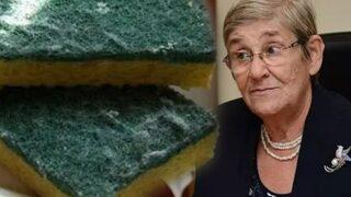 Prof. Dr. Canan Karatay kullananları uyarmıştı! Bakteri yuvası bulaşık süngerlerini çöpe atın: Kabak lifi etkili sonuçlar sağlıyor