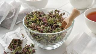 Mercanköşk çayı faydaları nelerdir, neye iyi gelir? Mercanköşk çayı nasıl yapılır ve demlenir?