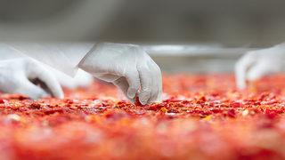 Net bir şekilde ortaya çıktı: Ölümlerin yüzde 20’sinden sorumlu!