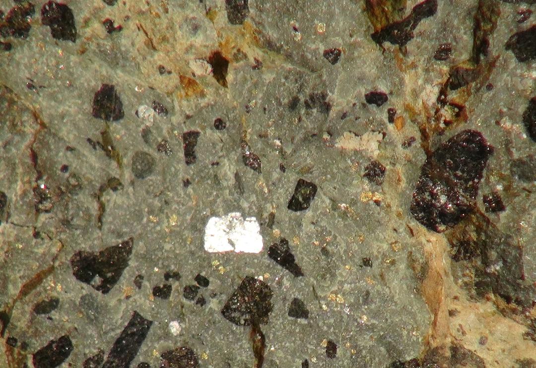 Uzaydan geldiğini d&uuml;ş&uuml;n&uuml;yor... 10 yıl &ouml;nce buldu 'Nasıl b&ouml;yle bir şey olur?' diyerek hemen eve g&ouml;t&uuml;rd&uuml;! "Satın almak istediler..."