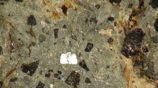 Uzaydan geldiğini düşünüyor... 10 yıl önce buldu 'Nasıl böyle bir şey olur?' diyerek hemen eve götürdü! Satın almak istediler...