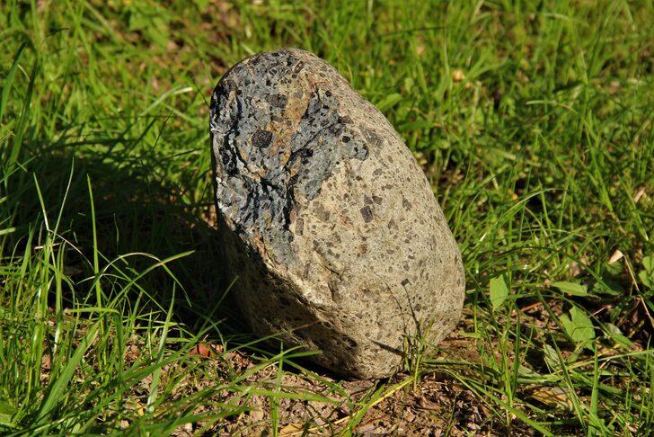 Uzaydan geldiğini düşünüyor... 10 yıl önce buldu 'Nasıl böyle bir şey olur?' diyerek hemen eve götürdü! "Satın almak istediler..." G5