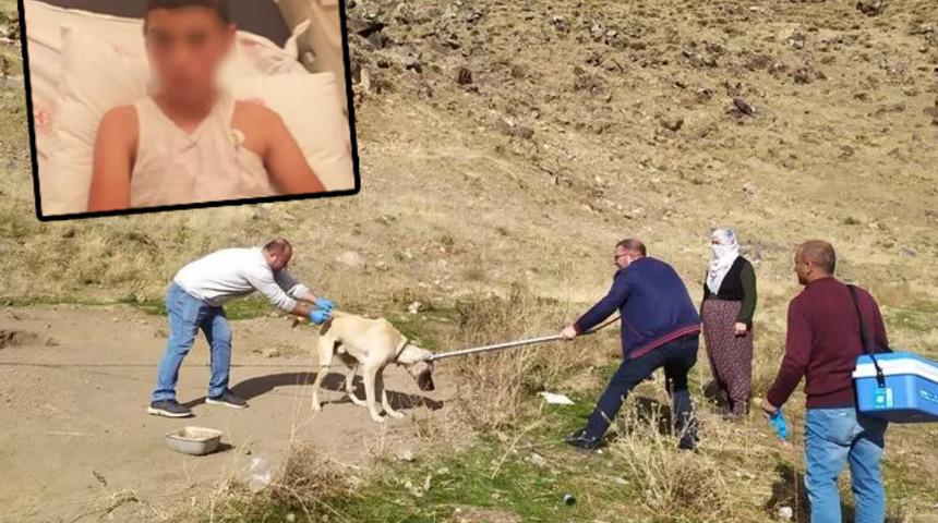 Bitlis'te köpeğin ısırdığı çocuk kuduz olmuştu... "Yüksek ihtimalle çocuk ölecek" dedi, sözleri tepki çekti: Dava...