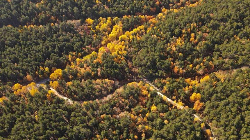 Sonbaharın renkleri görsel şölene dönüştü