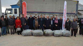 Hüyük’te üreticilere 170 bin adet lavanta fidesi dağıtıldı