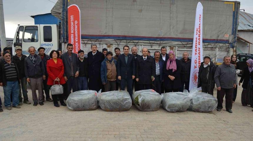 Hüyük’te üreticilere 170 bin adet lavanta fidesi dağıtıldı