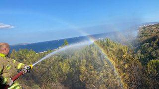 Balıkesir'de ormanlık alanda çıkan yangın söndürüldü