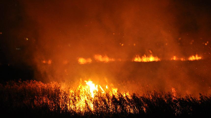 Mersin'deki Göksu Deltası'nda korkutan yangın! Ekipler yanan alanın bazı kısımlarına müdahale edemiyor
