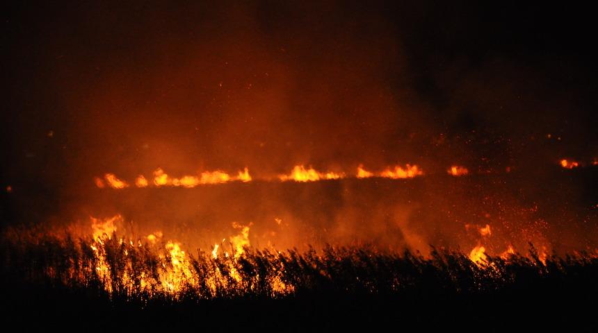 Mersin'deki Göksu Deltası'nda yangın çıktı
