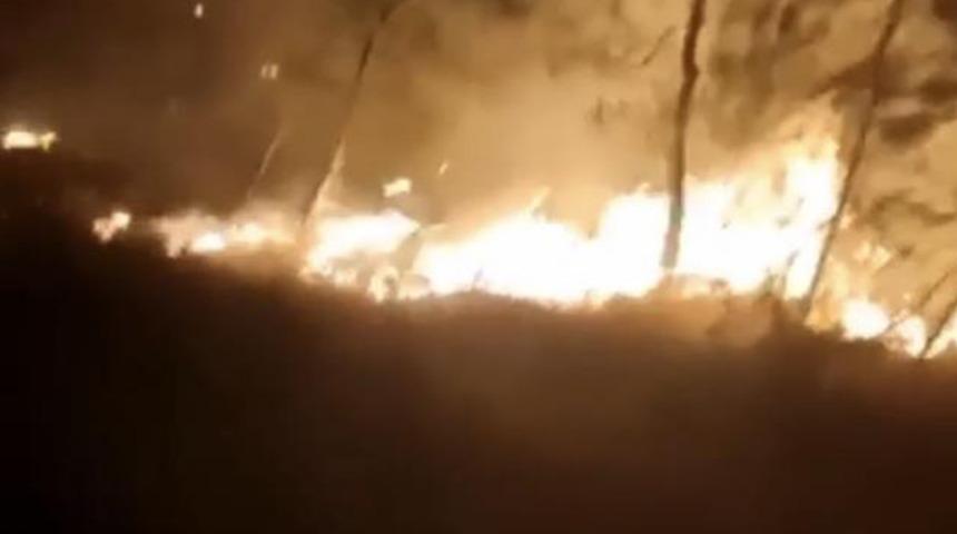 Bursa’da ormanlık alanda yangın çıktı! Ekipler kontrol altına aldı