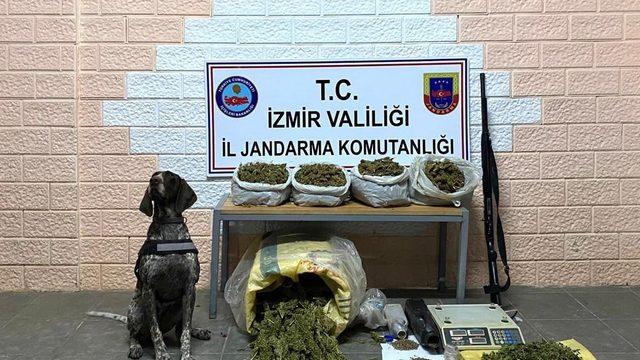 Ağaç kovukları ve parkelerin altına uyuşturucu gizlemişler