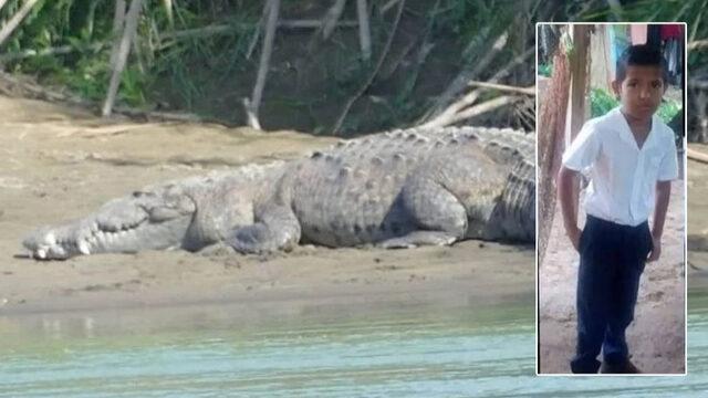 Ebeveynlerinin gözleri önünde ölüme sürüklendi! Timsahın yakalayıp nehre çektiği çocuğun cesedine hala ulaşılamadı