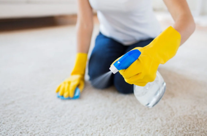 HALI VE KOLTUKLAR TEMİZLENMELİ