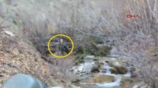 Gri listedeki kadın terörist işte böyle teslim oldu!