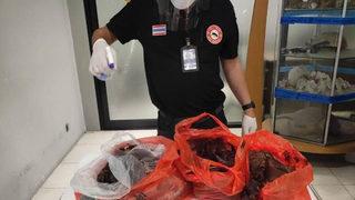 Çin'den Tayland'a gelen yolcunun bavulundan çıkanlar şoke etti! İncelenmesi için laboratuvara gönderildi 'Çok tehlikeli'