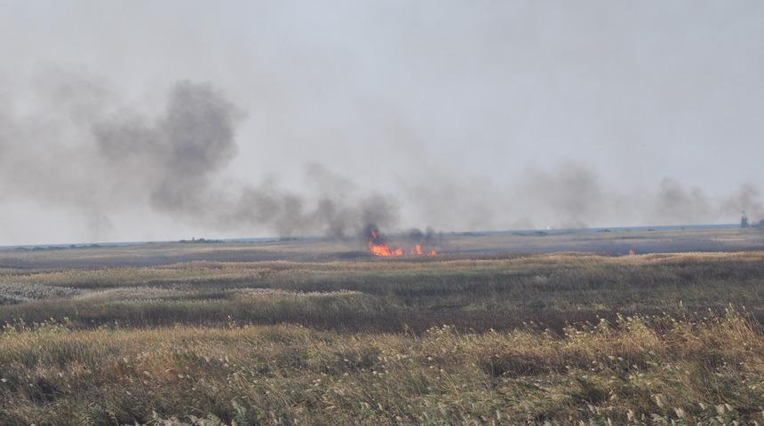 Mersin'deki Göksu Deltası'nda çıkan yangın kendiliğinden söndü