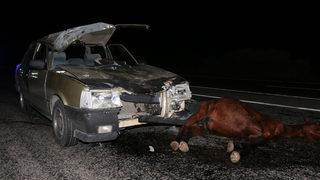 Sivas'ta ata çarpan otomobildeki 5 kişi yaralandı