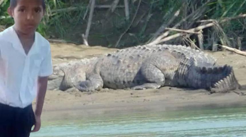 Anne ve babası çaresizce izledi! 8 yaşındaki çocuklarını gözlerinin önünde timsah yedi