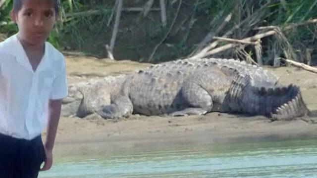 Anne ve babası çaresizce izledi! 8 yaşındaki çocuklarını gözlerinin önünde timsah yedi