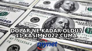 Dolar ne kadar? Euro kaç TL? 11 Kasım 2022 cuma euro ve Dolar/TL'de son durum