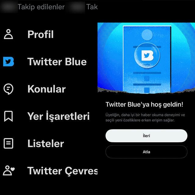 Twitter blue1