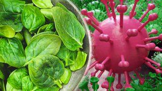 Hastalığı, doktor yolunu unutturuyor! Bağışıklığı zirveye çıkaran kış aylarının süper gıdası