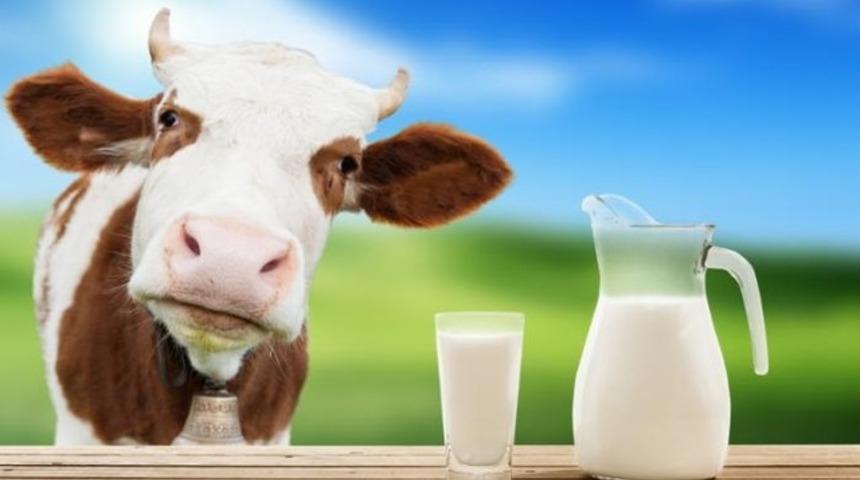 Doğru proteinin sırrı her g&uuml;n iki bardak s&uuml;t!