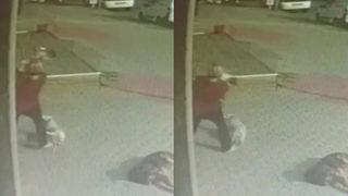 Akıllara durgunluk veren anlar! Pencereden düşen köpeğini havada yakaladı: Ne yapacağımı şaşırdım, çok heyecanlandım