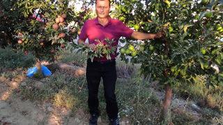 Kan donduran vahşet! Sopalarla döverek öldürdüler