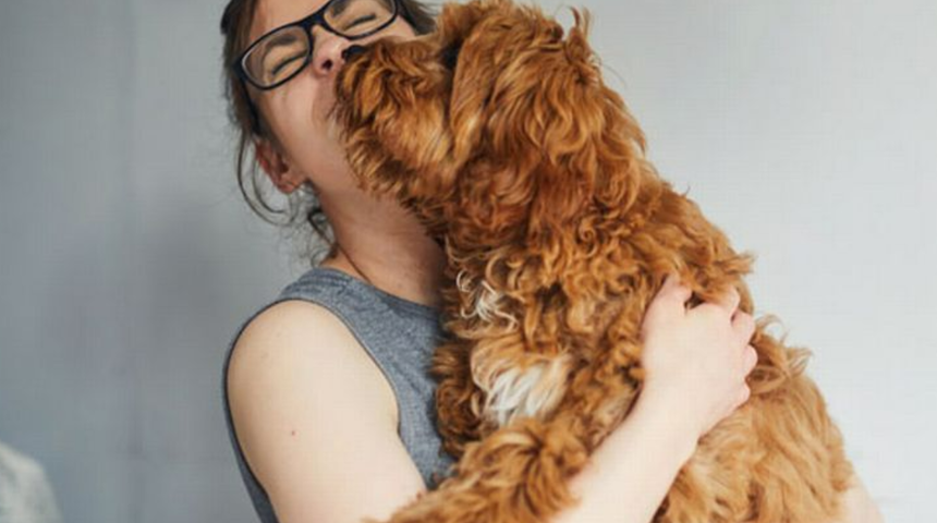 Hayvanseverler dikkat! Uzmanlar ölümcül enfeksiyon hakkında uyarıyor