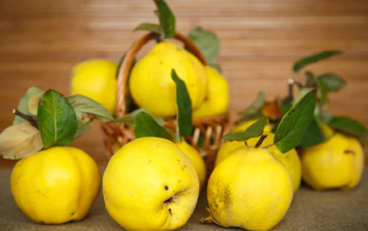 Kendi ayrı kabuğu ayrı faydalı: Öksürüğün kökünü kurutur, kabızlığı bitirir! Faydaları saymakla bitmiyor G2