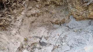 Define hayaliyle İstanbul'dan kalkıp o mahalleye geldi... Yaptığı hata canına mal oldu! Bir yalan böyle ortaya çıktı