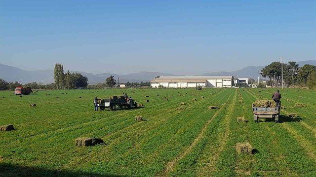 Germencik Belediyesi’nden çiftçiye can suyu