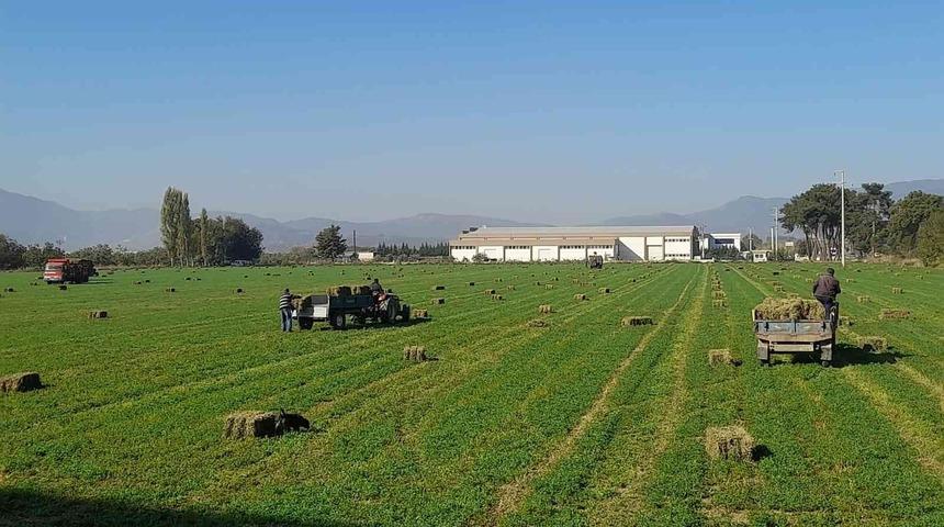 Germencik Belediyesi’nden çiftçiye can suyu