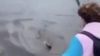 Timsaha işkence edip 'palayla' öldürdüler! Görenler inanamadı